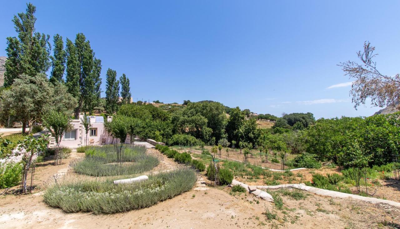 Serenity Village Apartment Aperathos