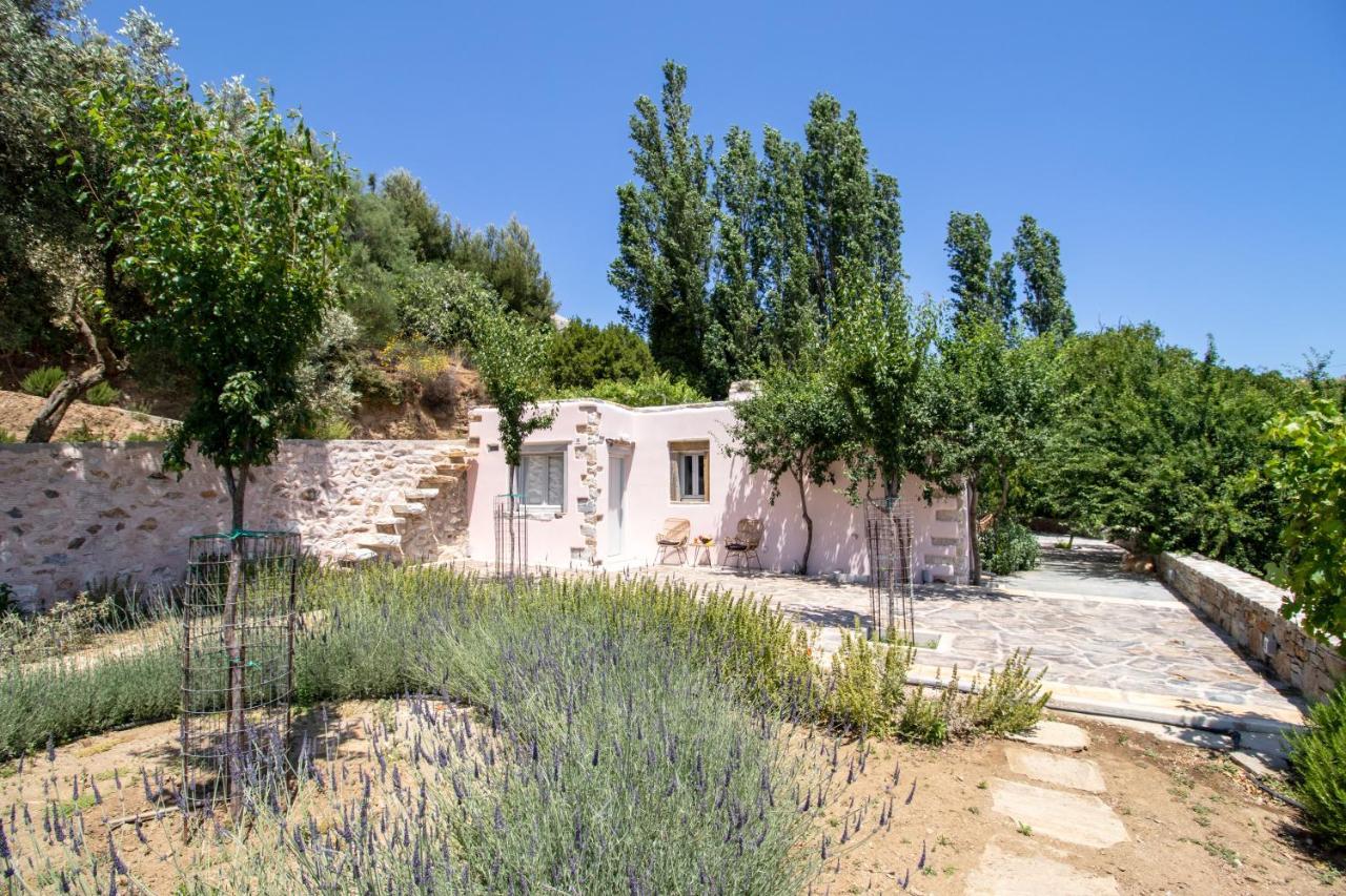 Serenity Village Apartment Aperathos