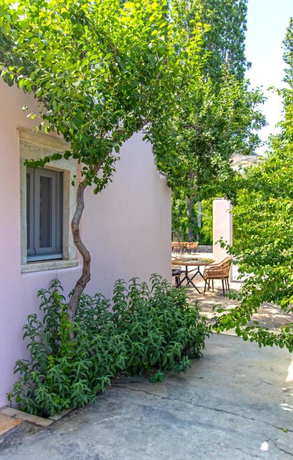 Serenity Village Apartment *