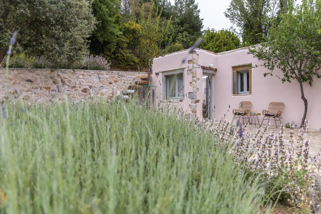 Serenity Village Aperathos